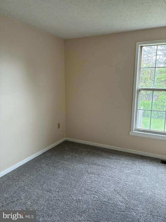 1537 Violet Drive - Photo 6