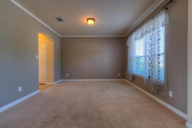 321 Limestone Trl - Photo 11