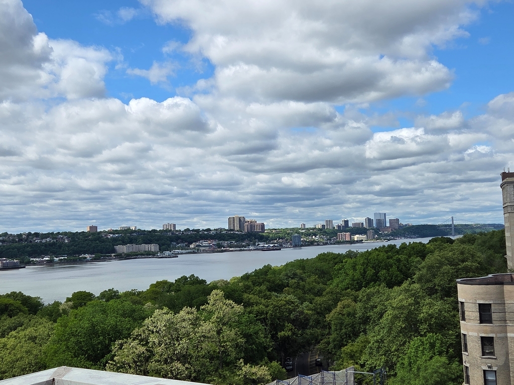 323 West 96th Street - Photo 9
