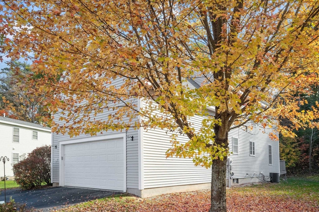 131 Forest Hill - Photo 4