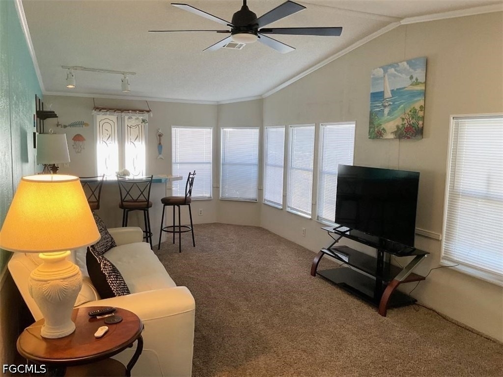 4036 Avenida Del Tura - Photo 14