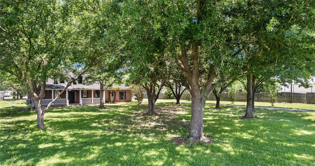 20240 Cypress Rosehill Road - Photo 9