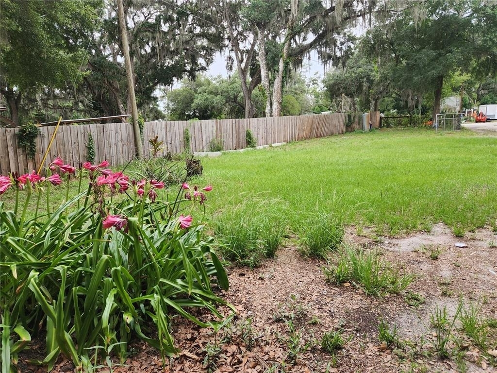 24815 Audrey Road - Photo 24