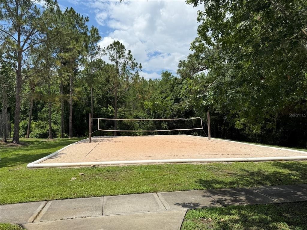 31203 Flannery Court - Photo 31