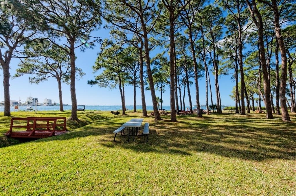 2700 Bayshore Boulevard - Photo 34
