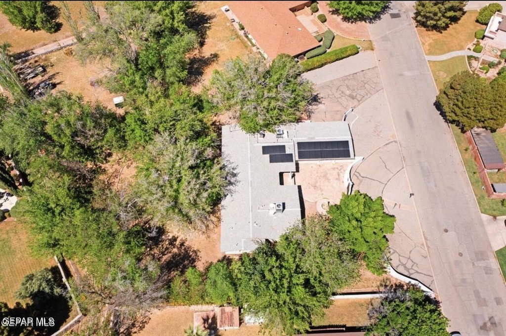 5233 White Oak Drive - Photo 3