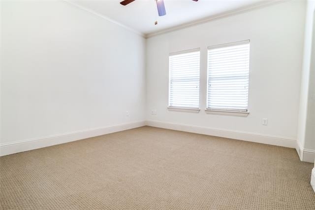 6517 Del Norte Lane - Photo 18