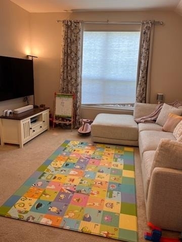 2333 Olivia Lane - Photo 3