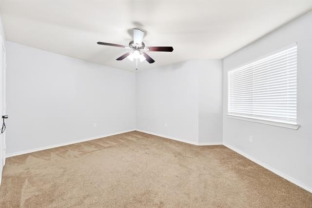 9837 Walnut Street - Photo 17