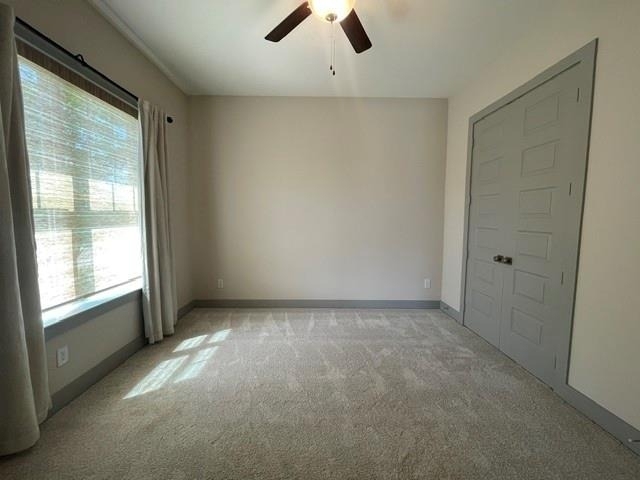4801 Park View Place - Photo 9