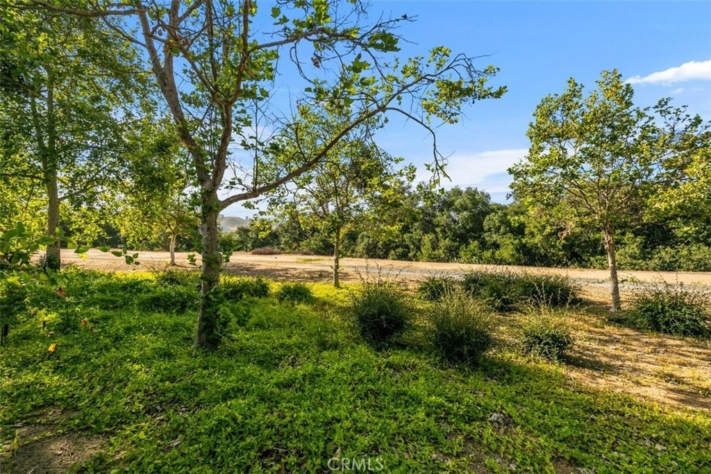 9 Acorn Ridge - Photo 5
