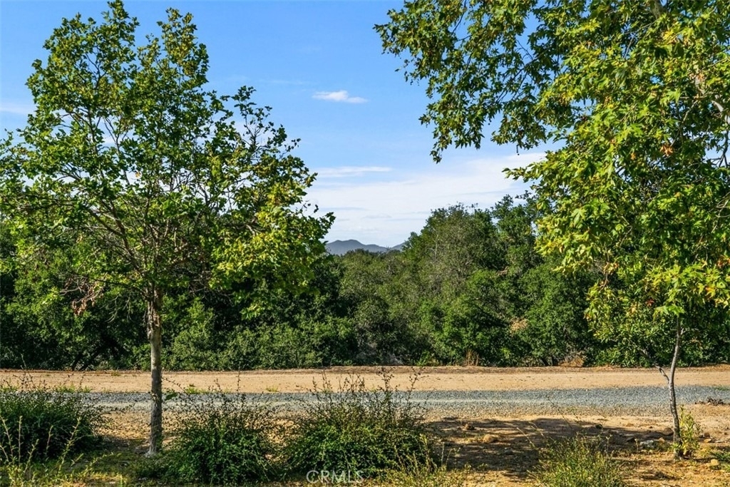 9 Acorn Ridge - Photo 6