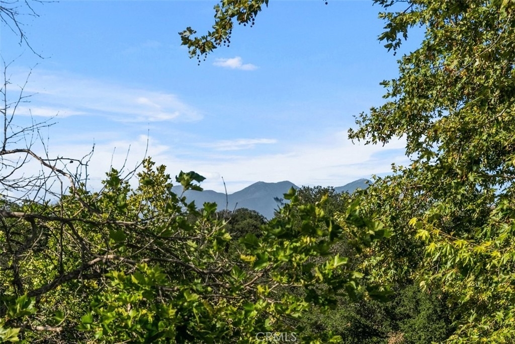 9 Acorn Ridge - Photo 8