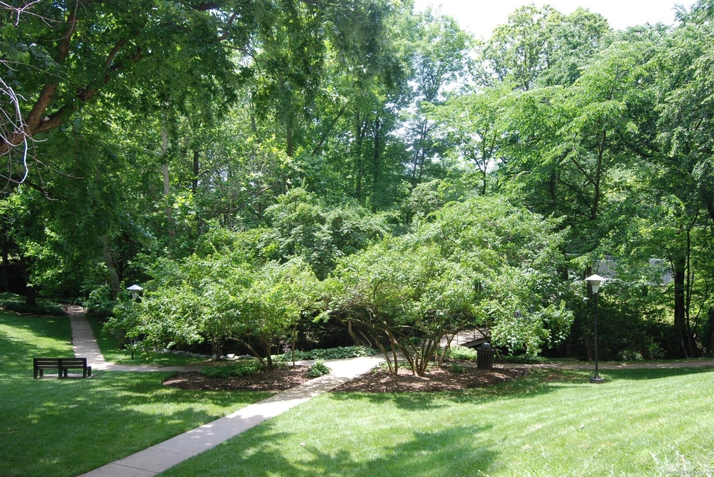 10500 Rockville Pike - Photo 27