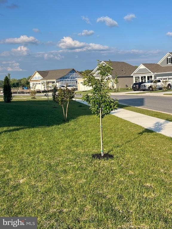 9224 Greenway Trail - Photo 56
