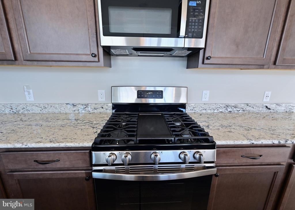 19504 Safflower Way - Photo 14