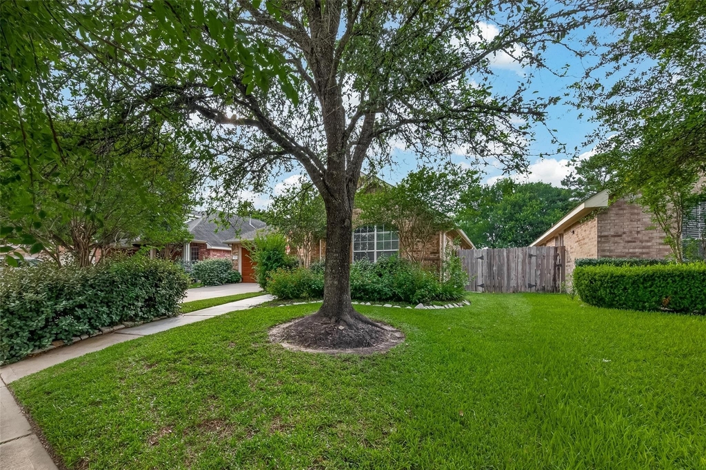 23222 Century Plant Drive - Photo 2