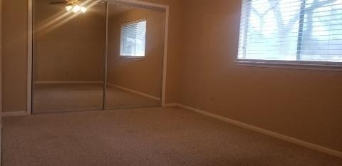 2822 Chimneystone Circle - Photo 12