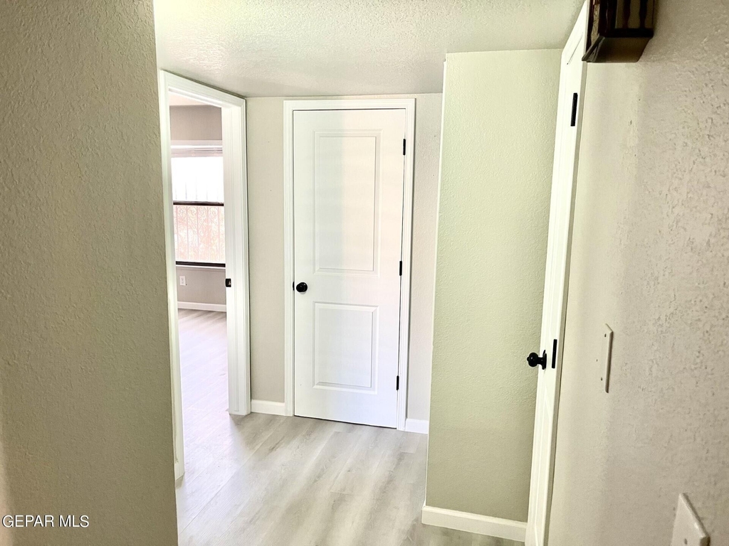 11676 Andrienne Drive - Photo 16