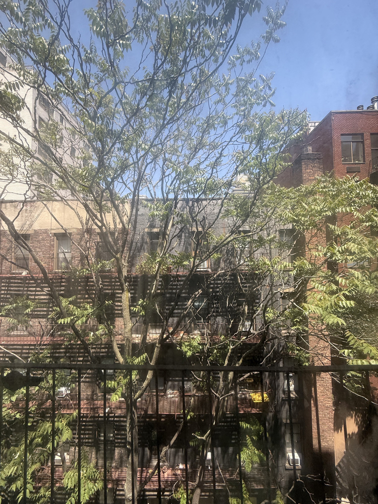 167 East 87th Street - Photo 5