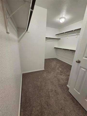 7504 Boat Wind Road - Photo 11