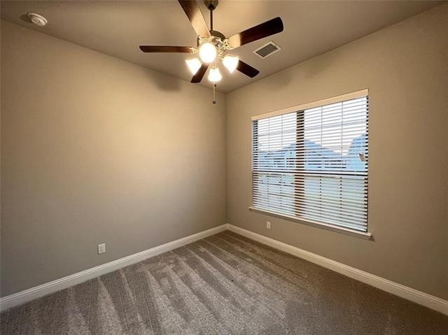 4008 Whitetail Lane - Photo 10