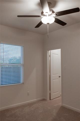 4407 Silverweed Lane - Photo 12