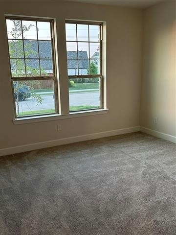 205 Texas Red Lane - Photo 12