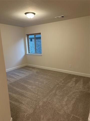 205 Texas Red Lane - Photo 7