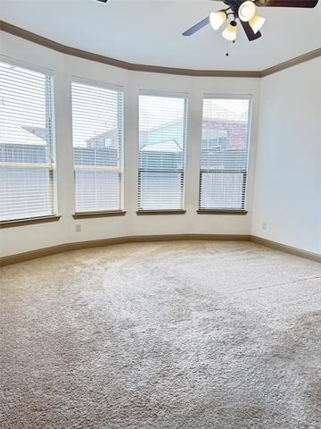 4616 Vista Grande Drive - Photo 10