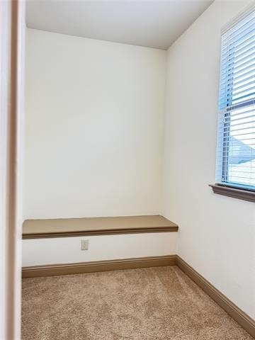 4616 Vista Grande Drive - Photo 25