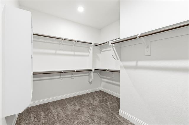 3501 Chacon Creek Trail - Photo 21