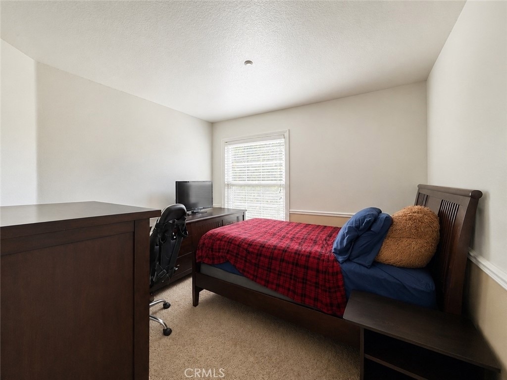 2549 Paseo Tortuga - Photo 6