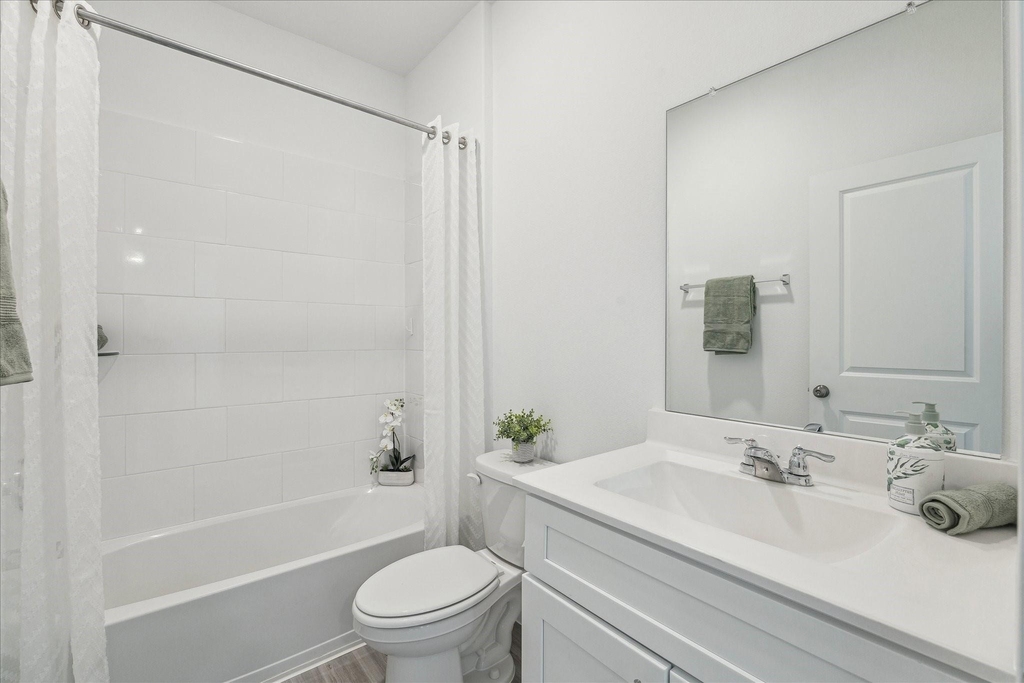 26209 Brahman Drive - Photo 11
