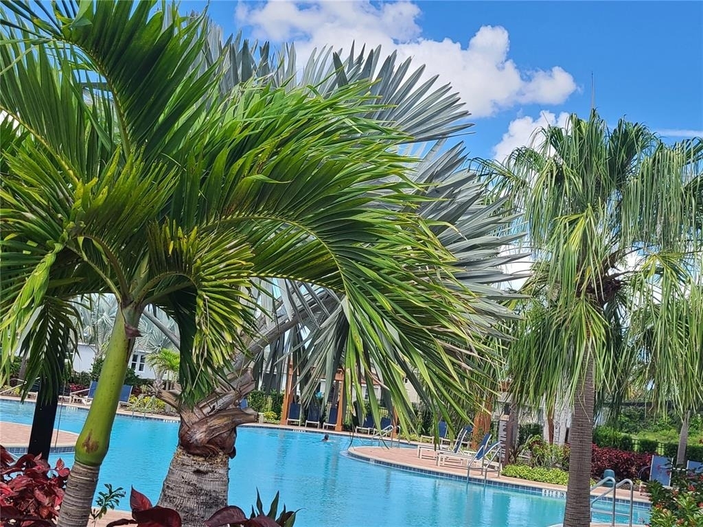 17605 Cantarina Cove - Photo 39