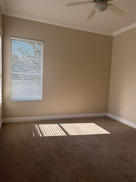 7779 Arolla Pine Boulevard - Photo 15