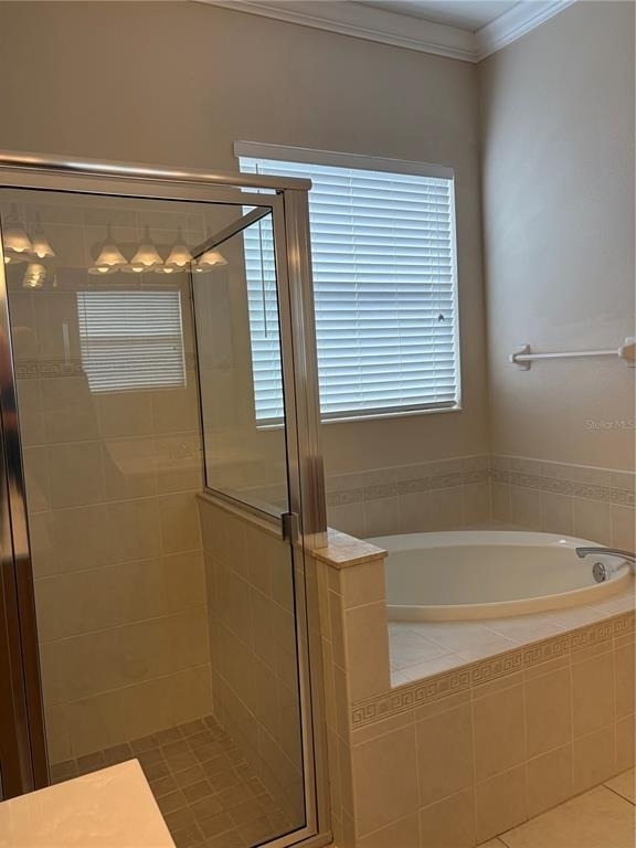 7779 Arolla Pine Boulevard - Photo 14
