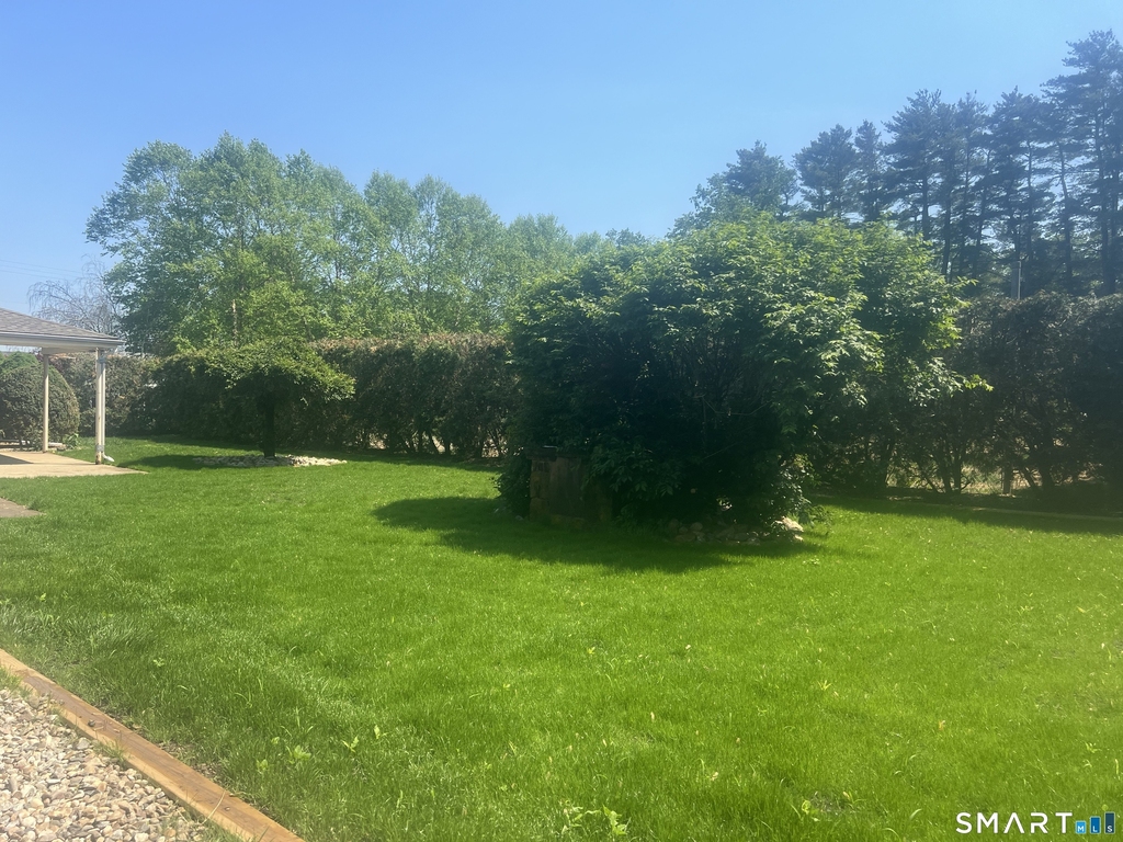 79 Farmington Avenue - Photo 4