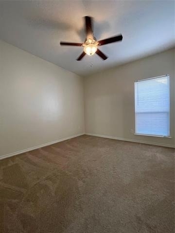 10525 Flat Creek Trail - Photo 15