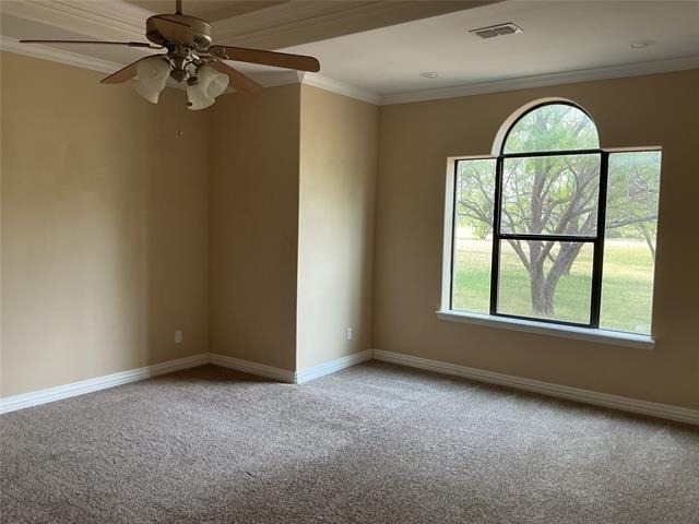 7750 Spinks Road - Photo 16