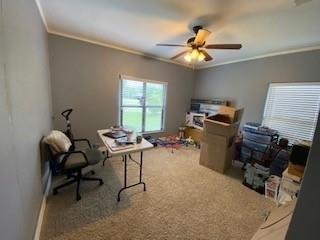 3904 Carolyn Road - Photo 8