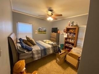 3904 Carolyn Road - Photo 10