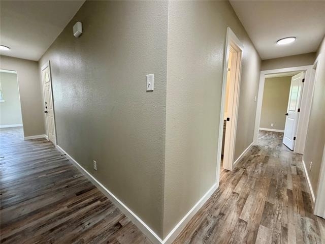 1606 Bluebonnet Trail - Photo 8