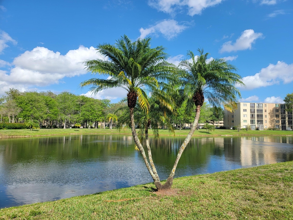 7900 Nw 50th Street - Photo 12