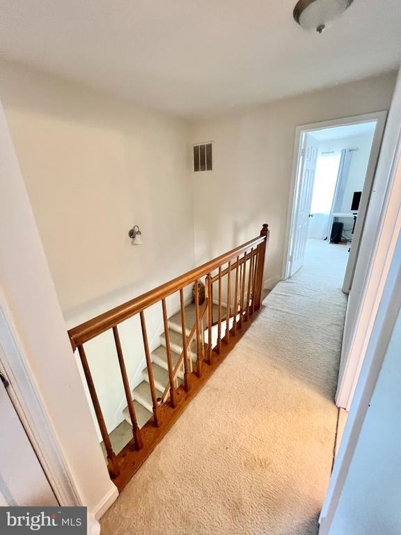 5929 Wild Brook Court - Photo 19
