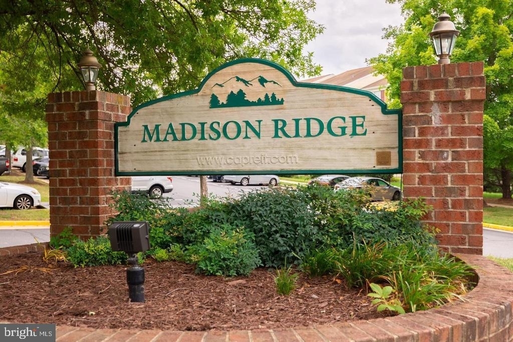 14807 Rydell Road - Photo 1