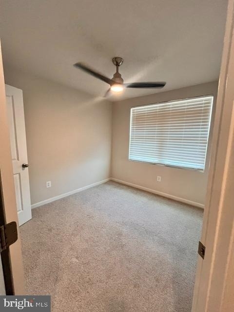 7236 Potomac Terrace - Photo 18
