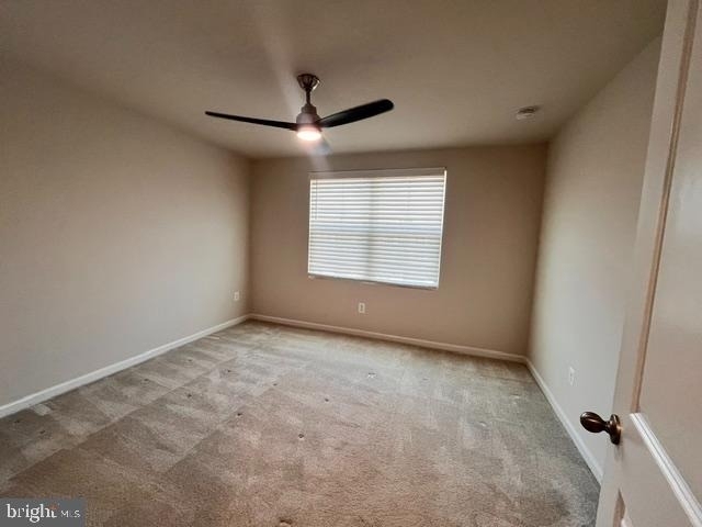 7236 Potomac Terrace - Photo 12