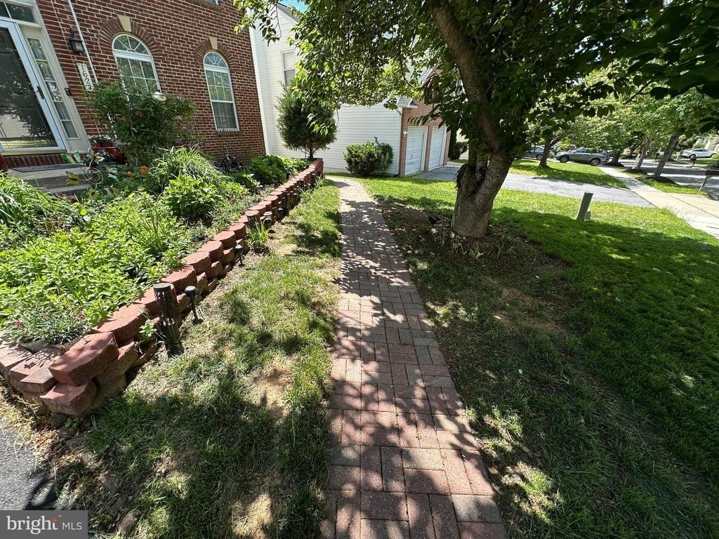 1623 Angelwing Dr - Photo 1