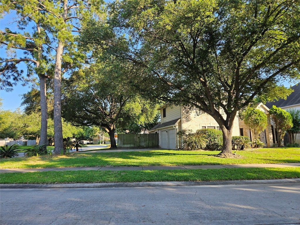 8807 Vista Springs Drive - Photo 19